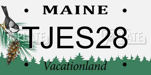 TJES28 Maine License Plate