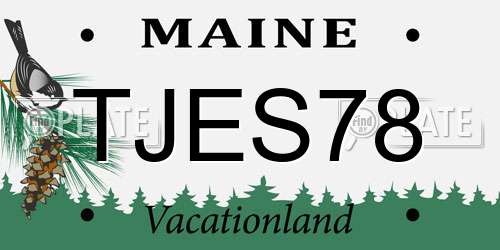 TJES78 Maine License Plate