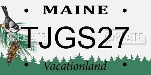 TJGS27 Maine License Plate