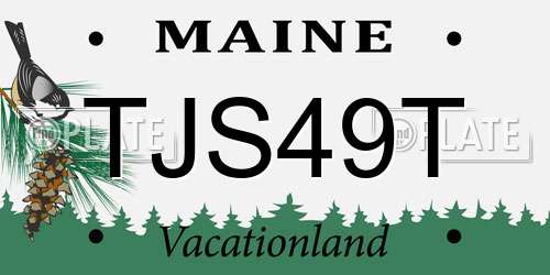 TJS49T Maine License Plate