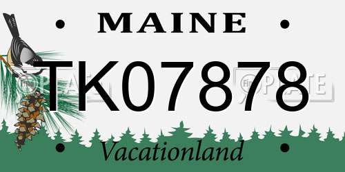 TK07878 Maine License Plate