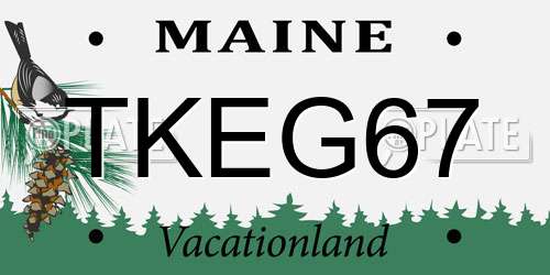 TKEG67 Maine License Plate