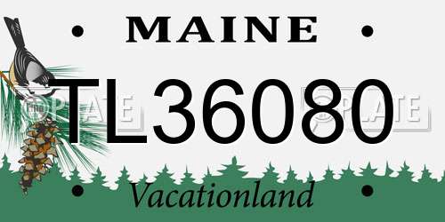 TL36080 Maine License Plate