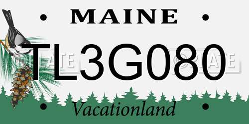 TL3G080 Maine License Plate