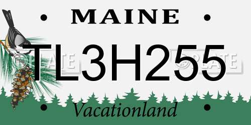 TL3H255 Maine License Plate