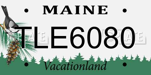 TLE6080 Maine License Plate