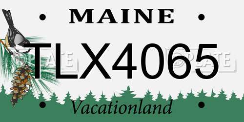 TLX4065 Maine License Plate