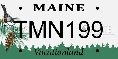 TMN199 Maine License Plate