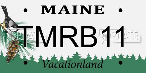 TMRB11 Maine License Plate