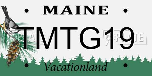 TMTG19 Maine License Plate