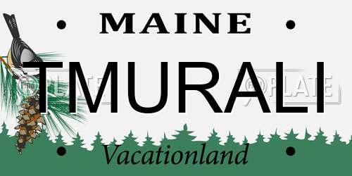 TMURALI Maine License Plate