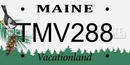 TMV288 Maine License Plate