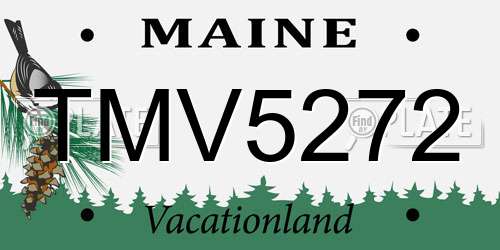 TMV5272 Maine License Plate