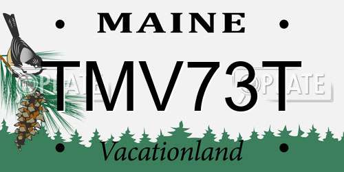 TMV73T Maine License Plate