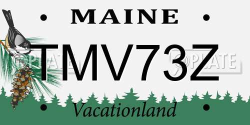 TMV73Z Maine License Plate