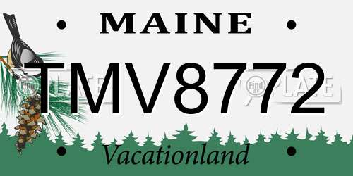 TMV8772 Maine License Plate