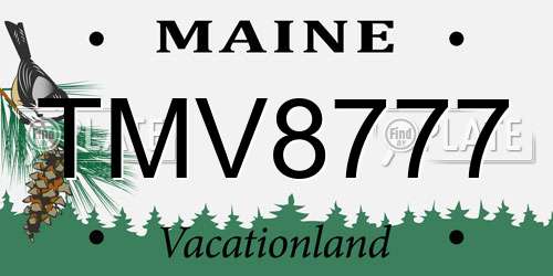 TMV8777 Maine License Plate