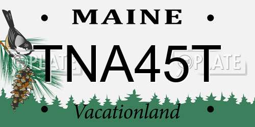 TNA45T Maine License Plate
