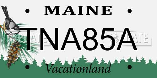TNA85A Maine License Plate