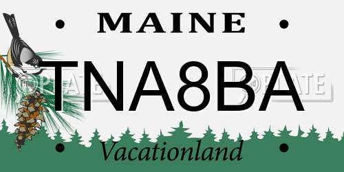 TNA8BA Maine License Plate