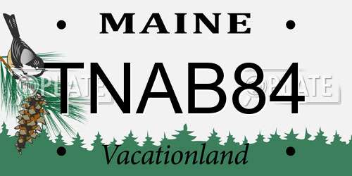 TNAB84 Maine License Plate