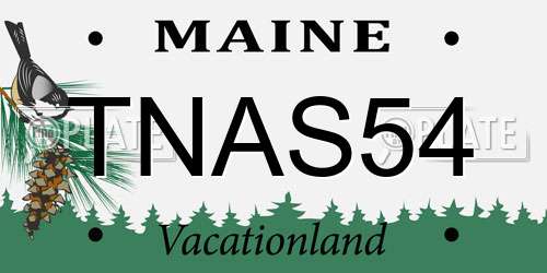 TNAS54 Maine License Plate
