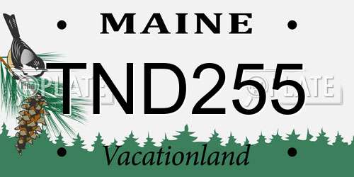 TND255 Maine License Plate