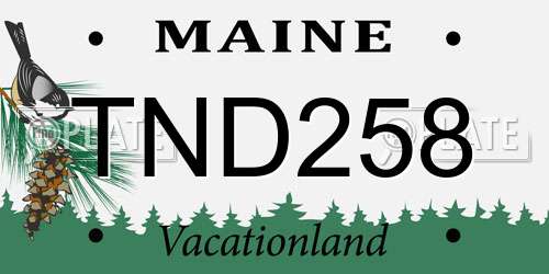 TND258 Maine License Plate