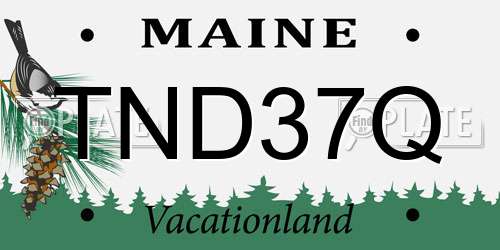 TND37Q Maine License Plate