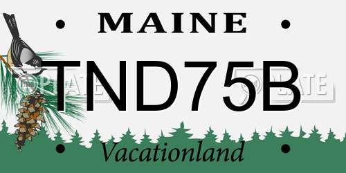 TND75B Maine License Plate