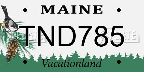 TND785 Maine License Plate