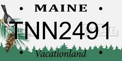 TNN2491 Maine License Plate