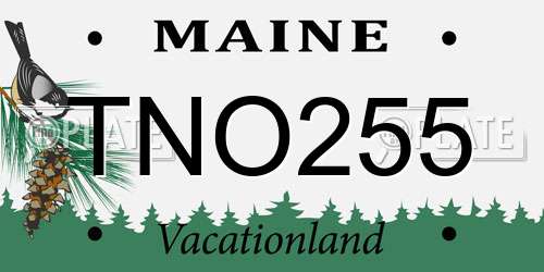 TNO255 Maine License Plate