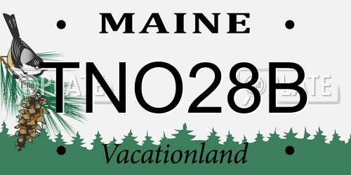 TNO28B Maine License Plate
