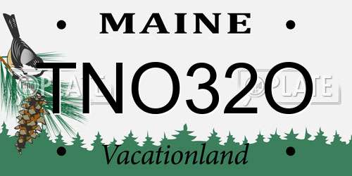 TNO32O Maine License Plate