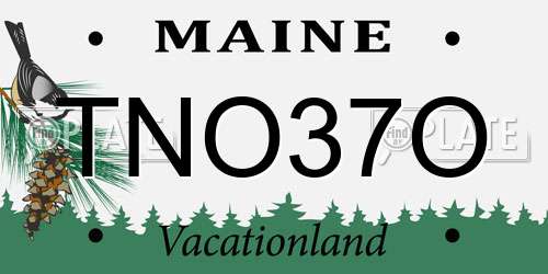 TNO37O Maine License Plate