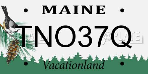 TNO37Q Maine License Plate