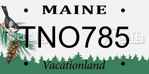 TNO785 Maine License Plate