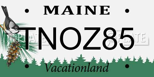 TNOZ85 Maine License Plate