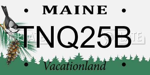 TNQ25B Maine License Plate