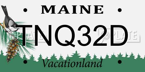 TNQ32D Maine License Plate
