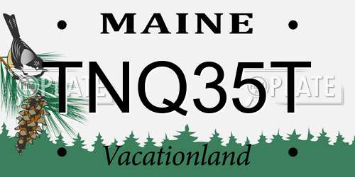 TNQ35T Maine License Plate
