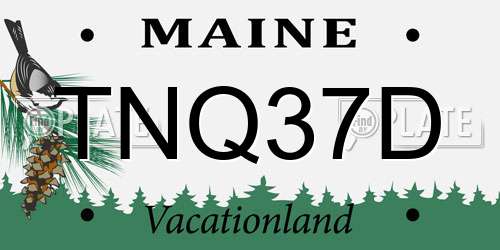 TNQ37D Maine License Plate