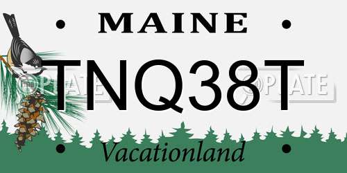 TNQ38T Maine License Plate