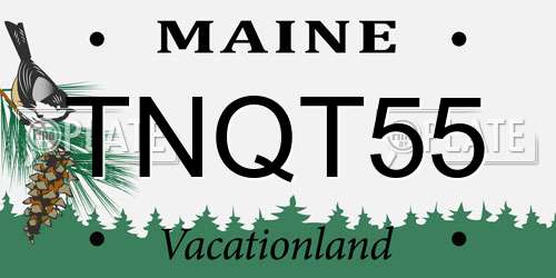 TNQT55 Maine License Plate