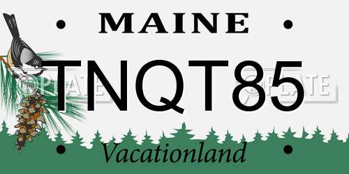 TNQT85 Maine License Plate