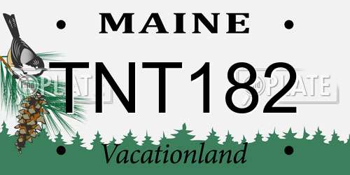 TNT182 Maine License Plate