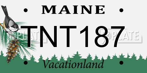 TNT187 Maine License Plate