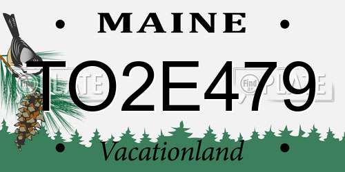 TO2E479 Maine License Plate