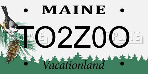 TO2Z0O Maine License Plate